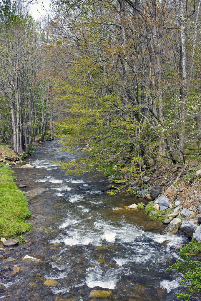 Doe River in Carter County, TN