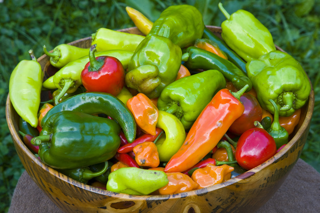 Bowl of Peppers