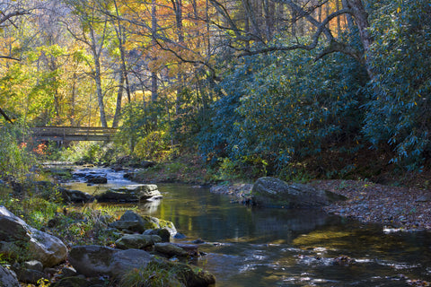 Bridge over Cattail Creek
