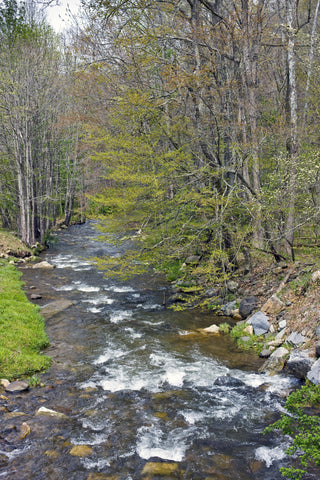 Doe River in Carter County, TN