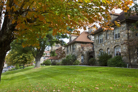 Lees-McRae College stone buildings in fall